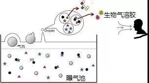 污水廠內的生物氣溶膠,污水從業人員必讀- 污水廠內的生物氣溶膠,污水從業人員必讀-