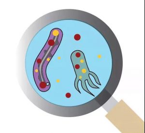 污水廠內的生物氣溶膠,污水從業人員必讀- 污水廠內的生物氣溶膠,污水從業人員必讀-