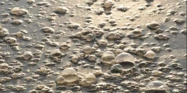 污水廠內的生物氣溶膠,污水從業人員必讀- 污水廠內的生物氣溶膠,污水從業人員必讀-