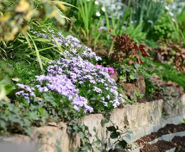 南北花園給排水問(wèn)題差異大,你知道嗎?- 南北花園給排水問(wèn)題差異大,你知道嗎?-