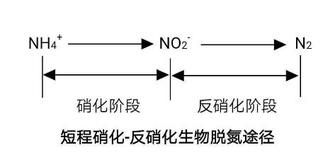 生化法除氨氮的技術(shù)匯總!- 生化法除氨氮的技術(shù)匯總!-